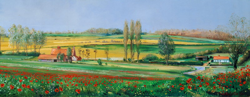 Poppy Field and Poplars  de Timothy  Easton