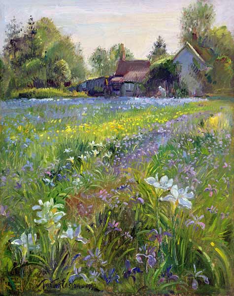 Dwarf Irises and Cottage, 1993  de Timothy  Easton