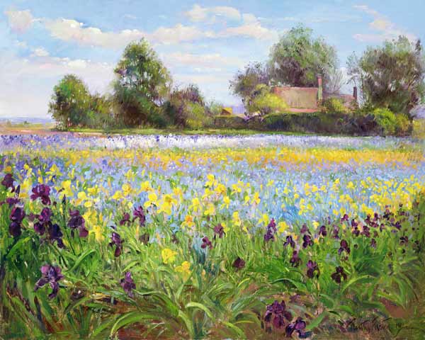 Farmstead and Iris Field, 1992  de Timothy  Easton