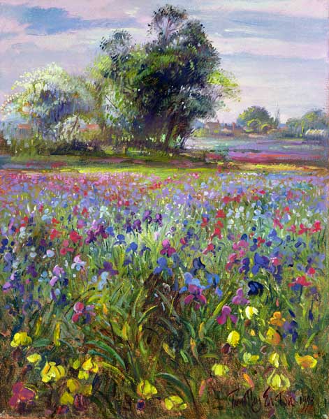 Irises and Distant May Tree, 1993  de Timothy  Easton