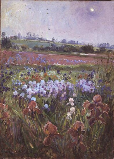 Irises and Emerging Sun de Timothy  Easton