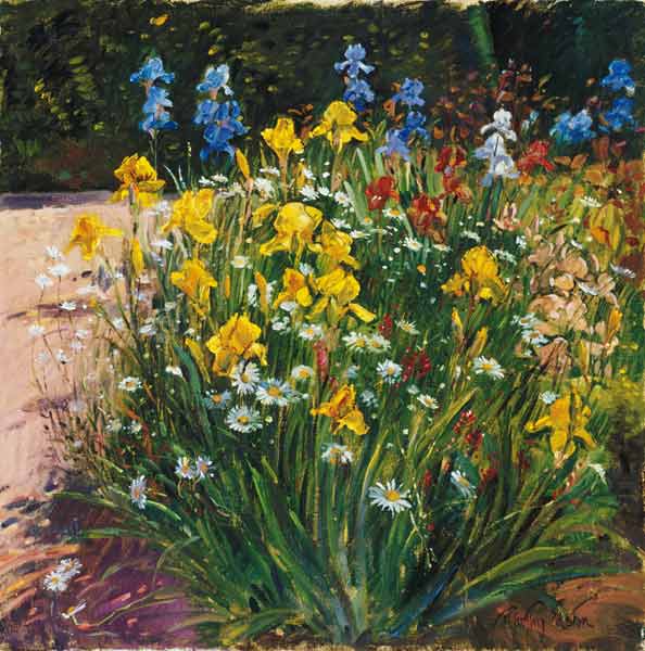 Oxeye Daisies Against the Irises (oil on canvas)  de Timothy  Easton