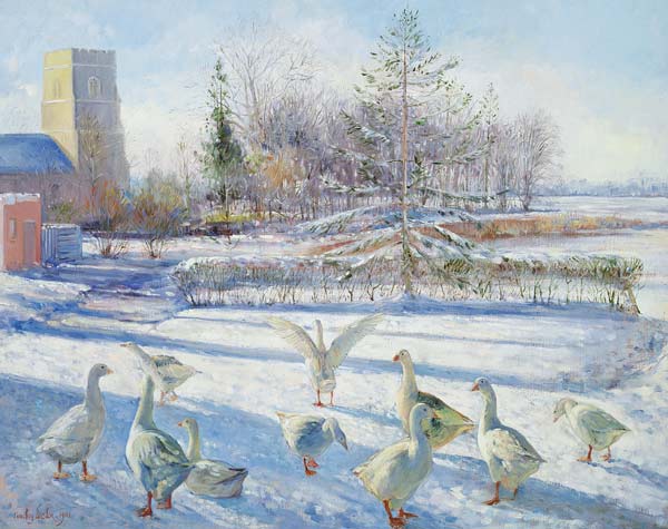 Snow Geese, Winter Morning  de Timothy  Easton