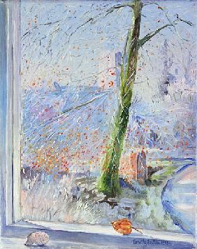 Beech Tree and Haw Frost, 1989 (oil on canvas) 