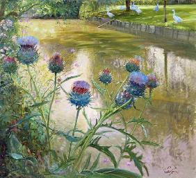 Cardoons Against the Moat (oil on canvas) 