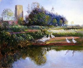 Geese at Sundown, 1991 