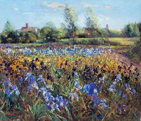 Irises and Burgate Green (oil on canvas) 