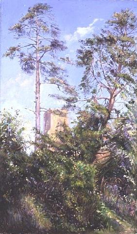 Pine Tree and Tower