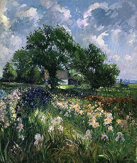 White Barn and Iris Field, 1992  de Timothy  Easton