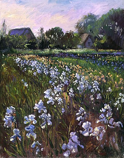 White Irises and Farmstead, 1992  de Timothy  Easton