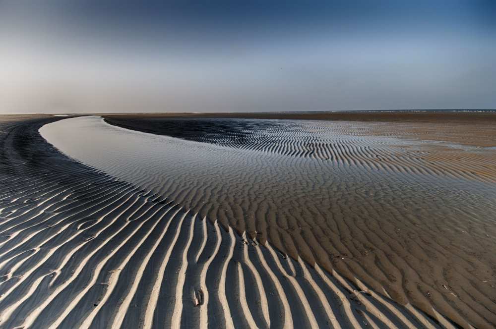 Sandlines de Tineke Visscher