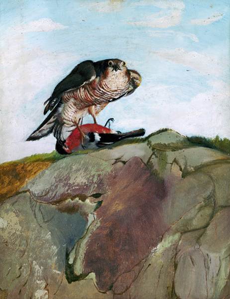 Sparrowhawk which has beaten a bullfinch. de Tivadar Csontváry-Kosztka