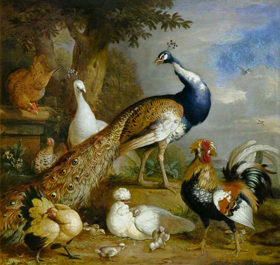Peacock, Peahen and Poultry in a Landscape de Tobias Stranover