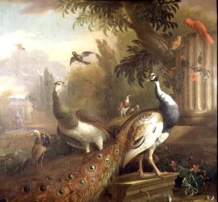 Peacock and Peahen with a Red Cardinal in a Classical Landscape de Tobias Stranover