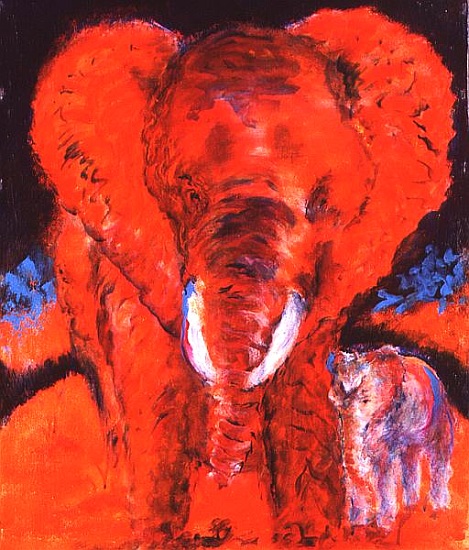 The Last Elephant de  Tom  Cook