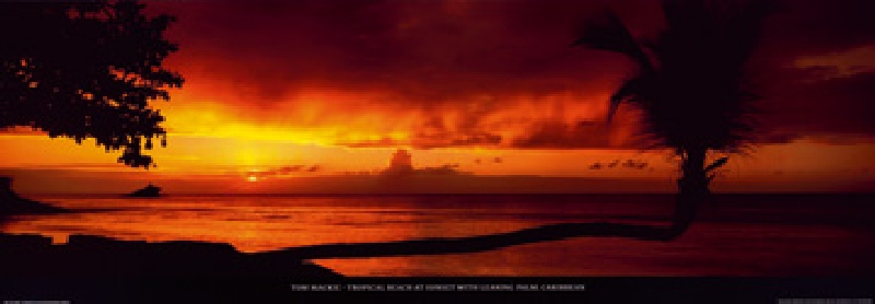 Tropical Beach at Sunset de Tom Mackie