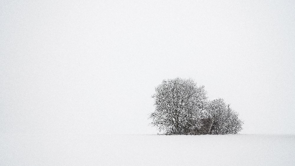 Winter silence de Tom Meier