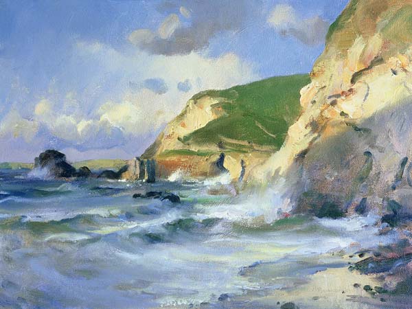 Cliffs at St. Agnes (oil on canvas)  de Trevor  Chamberlain