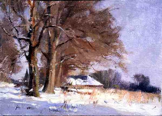 Limes in the Snow (oil on canvas)  de Trevor  Chamberlain