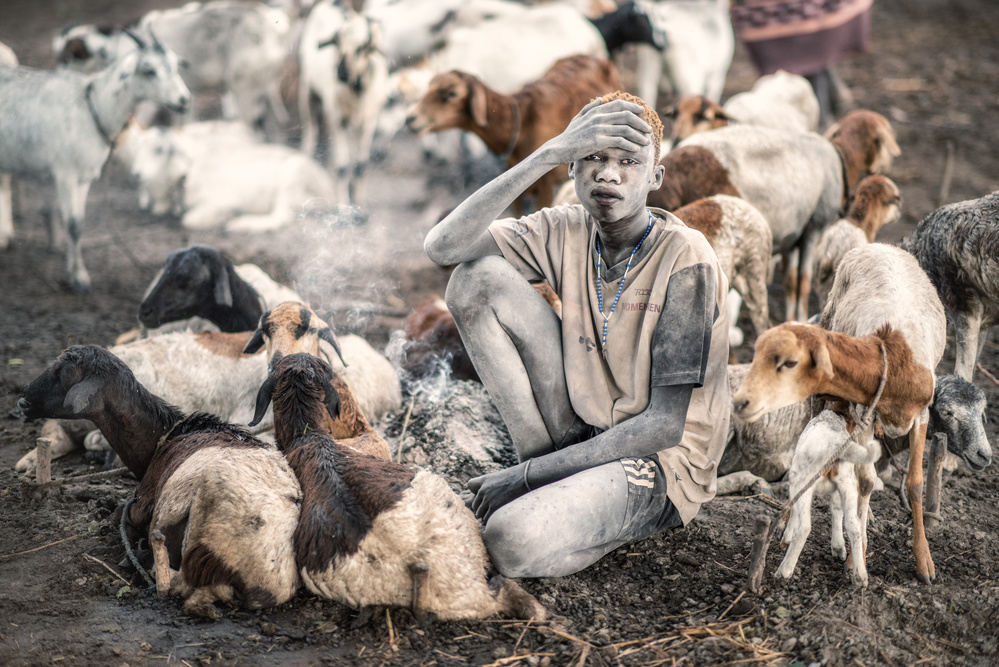 Mundari Shepherding de Trevor Cole