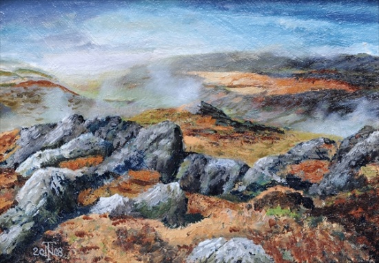 Langdales top, Cumbria de Trevor  Neal