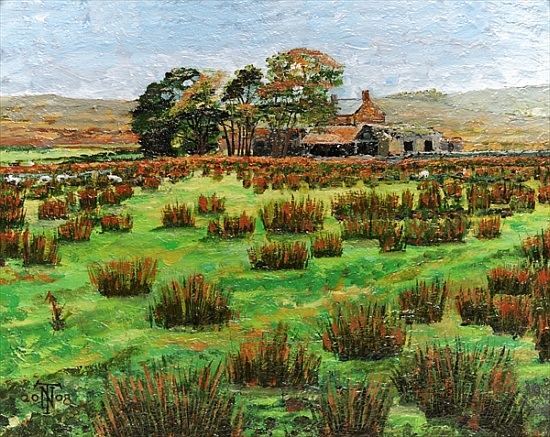 Farm Cumbria de Trevor  Neal