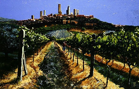 Grape Vines, San Gimignano, Tuscany, 1998 (oil on canvas)  de Trevor  Neal