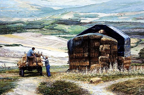 Haymaking, Volterra, Tuscany (oil on canvas)  de Trevor  Neal