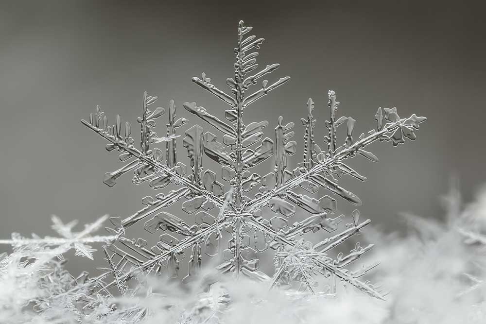 Snowflake de Tsolmon Naidandorj