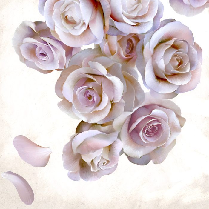 Roses of light de Udo Linke