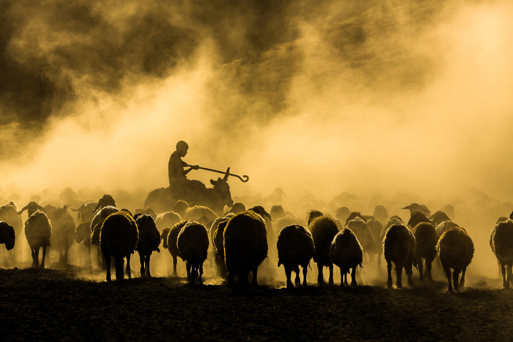sheep shepherd de Ummu Nisan Kandilcioglu