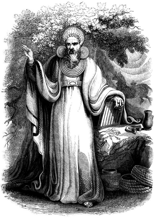 Arch-Druid in his full Judicial Costume (From the book "Old England: A Pictorial Museum") de Unbekannter Künstler