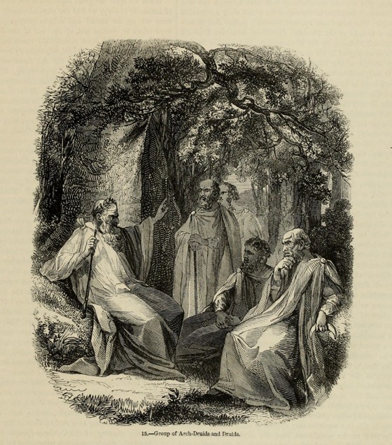 Group of Archdruids and Druids (From the book "Old England: A Pictorial Museum") de Unbekannter Künstler