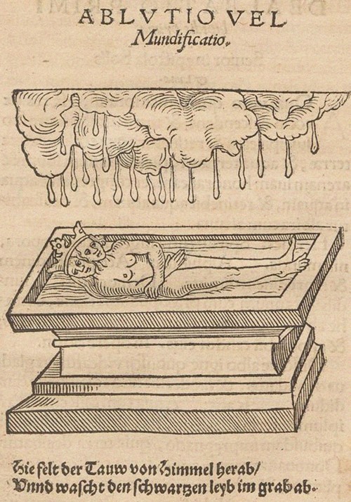 Illustration for The Rosary of the Philosophers (Rosarium philosophorum sive pretiosissimum donum De de Unbekannter Künstler