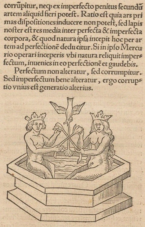 Illustration for The Rosary of the Philosophers (Rosarium philosophorum sive pretiosissimum donum De de Unbekannter Künstler