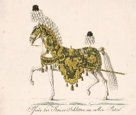 Decorated horse furniture of the Emperor's Ceremonial Horse-Drawn Carriages