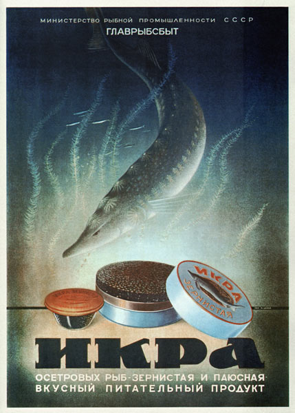 Advertising Poster for the Sturgeon caviar de Unbekannter Künstler