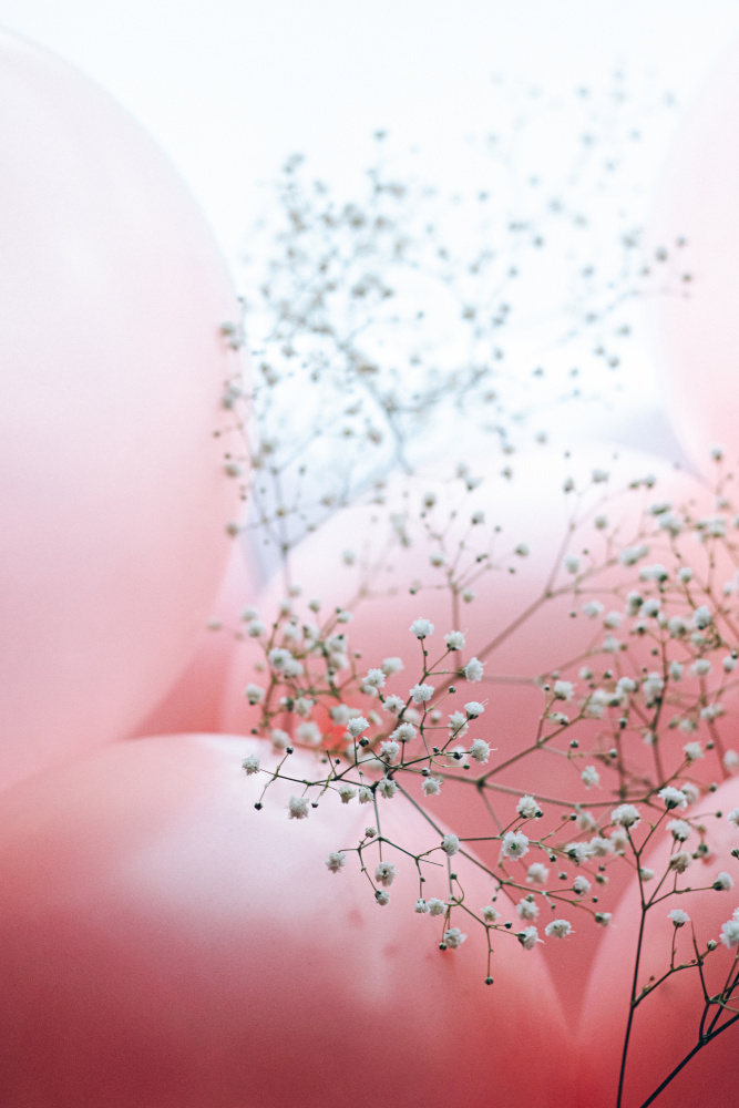 Blooms and Balloons - Moment like this de uplusmestudio