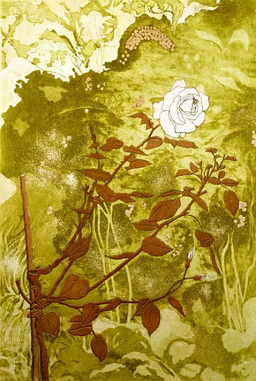 Rose (print) de Valerie  Daniel