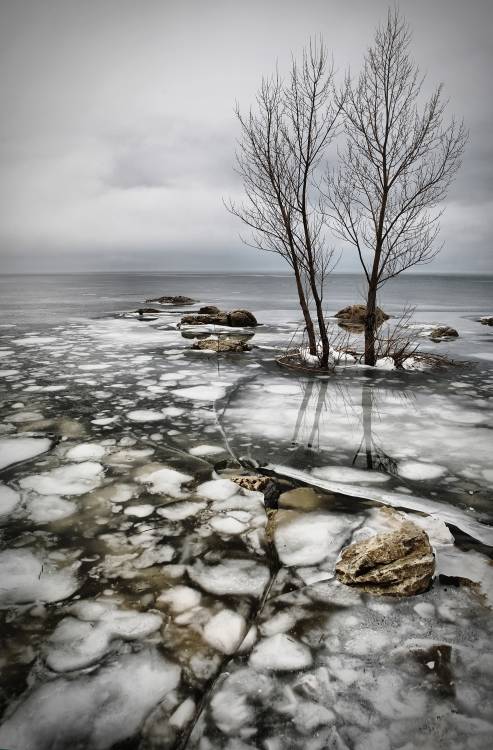 frozen lake de Vedran Vidak