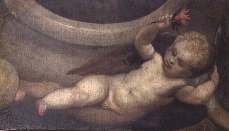 Putto with a red flower de Veronese, Paolo (eigentl. Paolo Caliari)