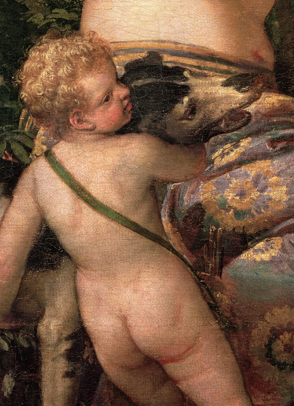 Cupid, detail from Venus and Adonis de Veronese, Paolo (eigentl. Paolo Caliari)