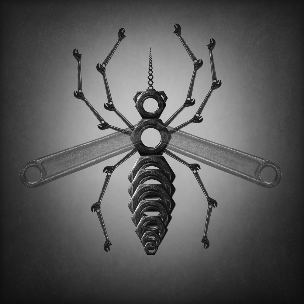 The mosquito de Victoria Glinka