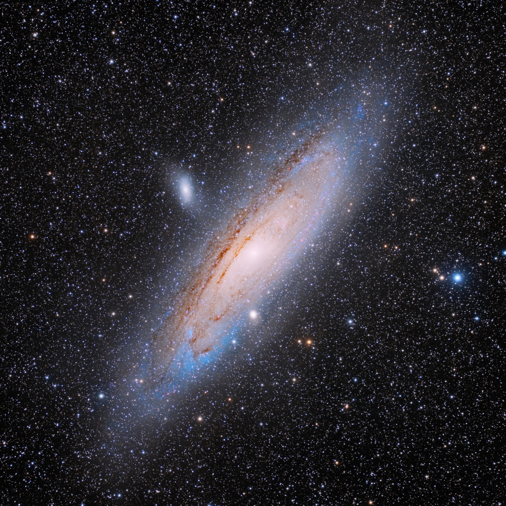 Andromeda de Vikas Chander