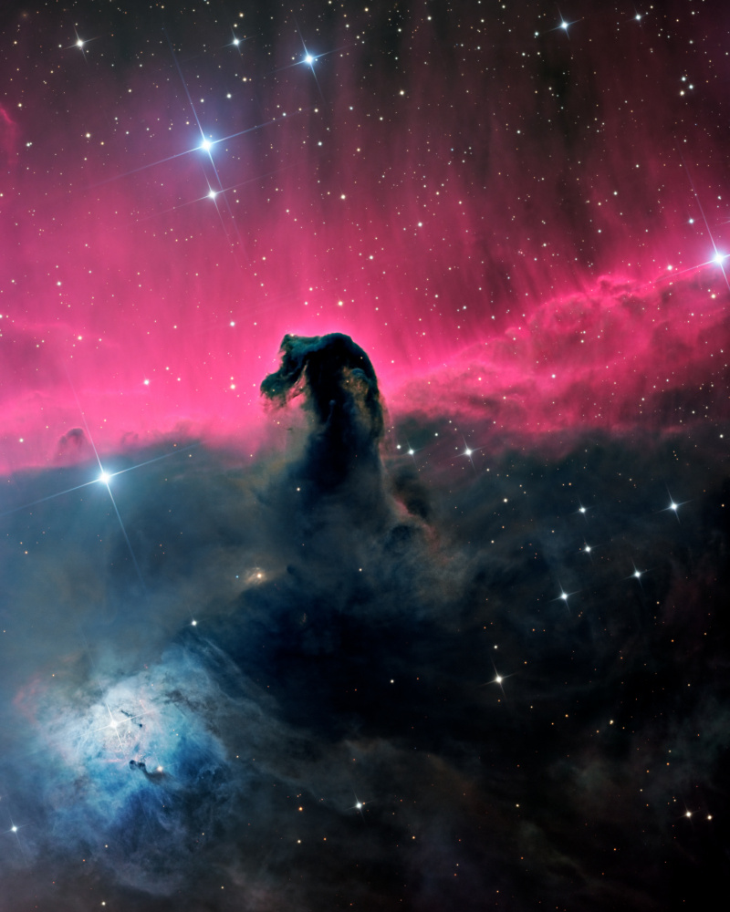 The Horsehead Nebula de Vikas Chander