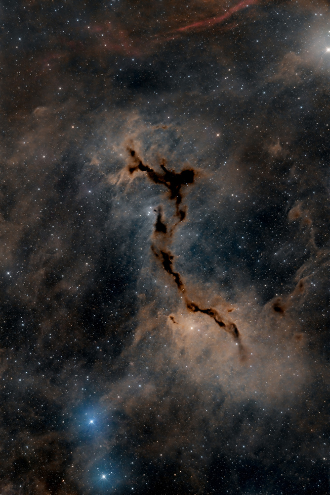 The Seahorse Nebula de Vikas Chander