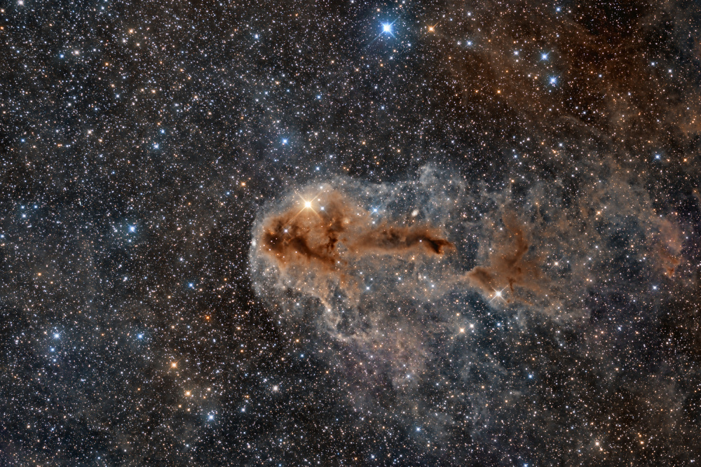 Rotten Fish Nebula de Vikas Chander