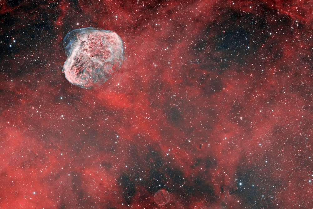 Crescent Nebula de Vikas Chander