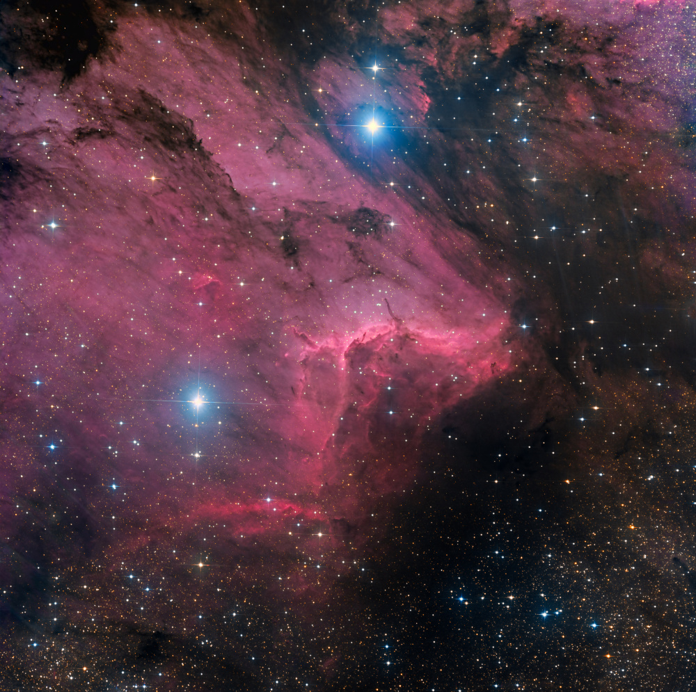 Pelican nebula de Vikas Chander
