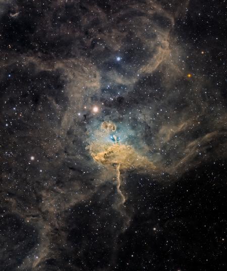 Spider Nebula